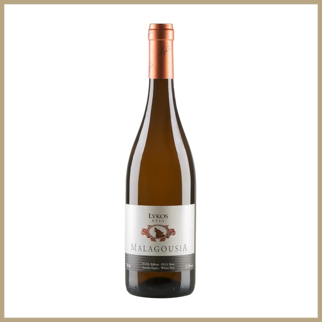 ΜΑΛΑΓΟΥΖΙΑ ΛΕΥΚΟΣ ΞΗΡΟΣ ΟΙΝΟΠΟΙΕΙΟ ΛΥΚΟΥ 750ml 